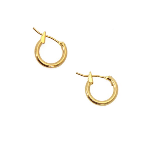 Gold Petite Hoop Earrings